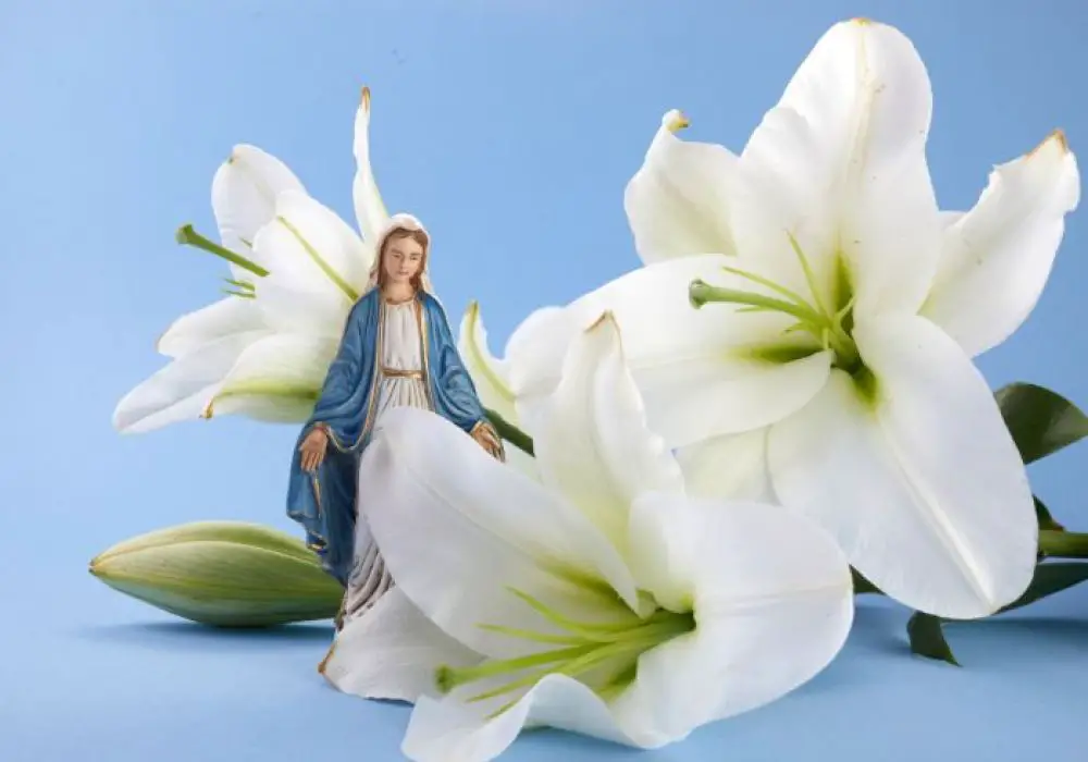 Il gagne 123 000 £ le jour férié de l’Assomption