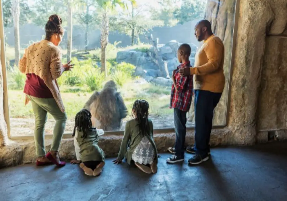 Quels zoos en France sont ouverts durant les jours fériés ?