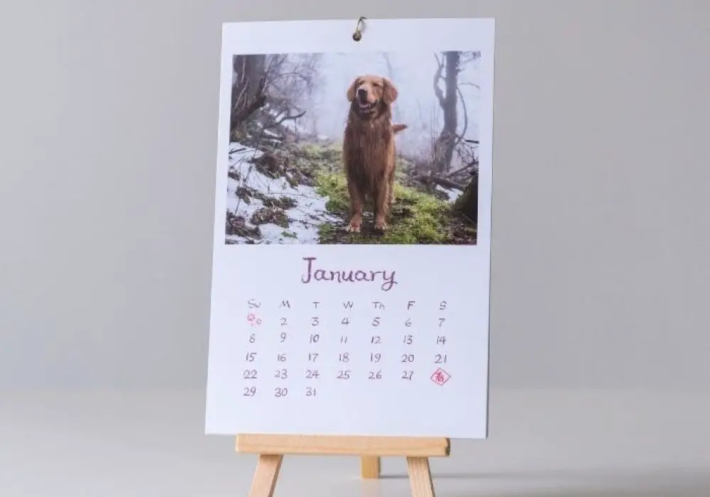 Réaliser un calendrier photo personnalisable pour 2022