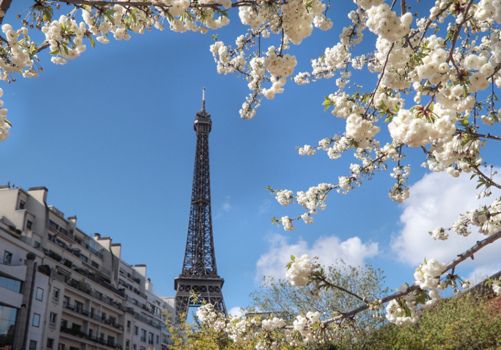 Sorties France : le guide 2024 des activités et loisirs